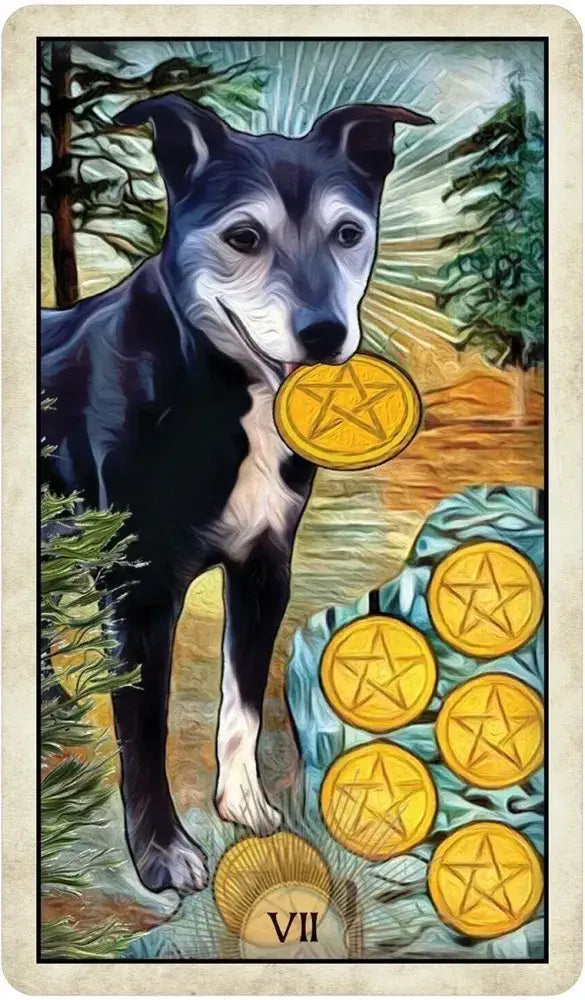 Wise Dog Tarot