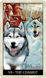 Wise Dog Tarot