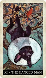 Wise Dog Tarot