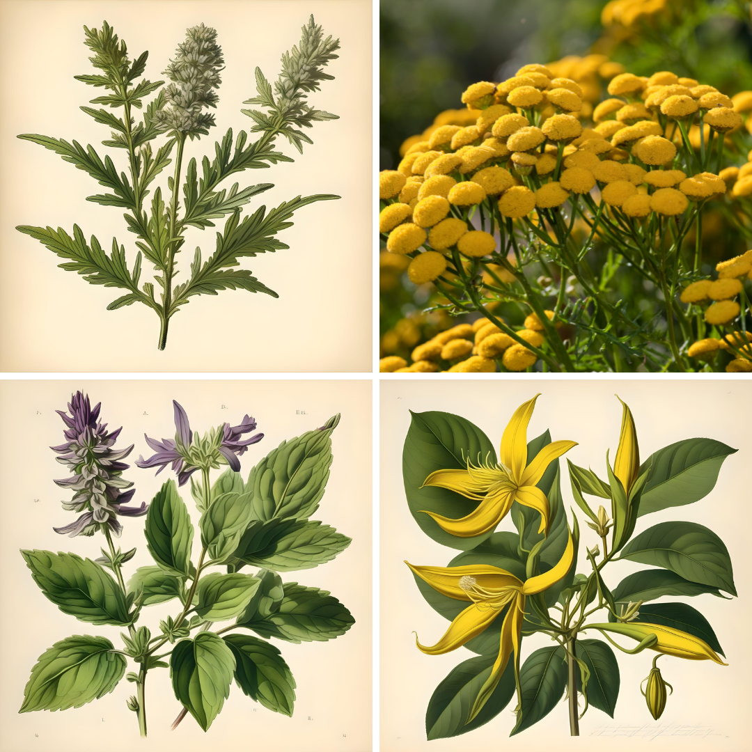 Balance Brew Aromatherapy Potion