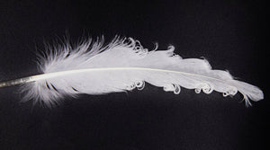 White Cleansing Feather