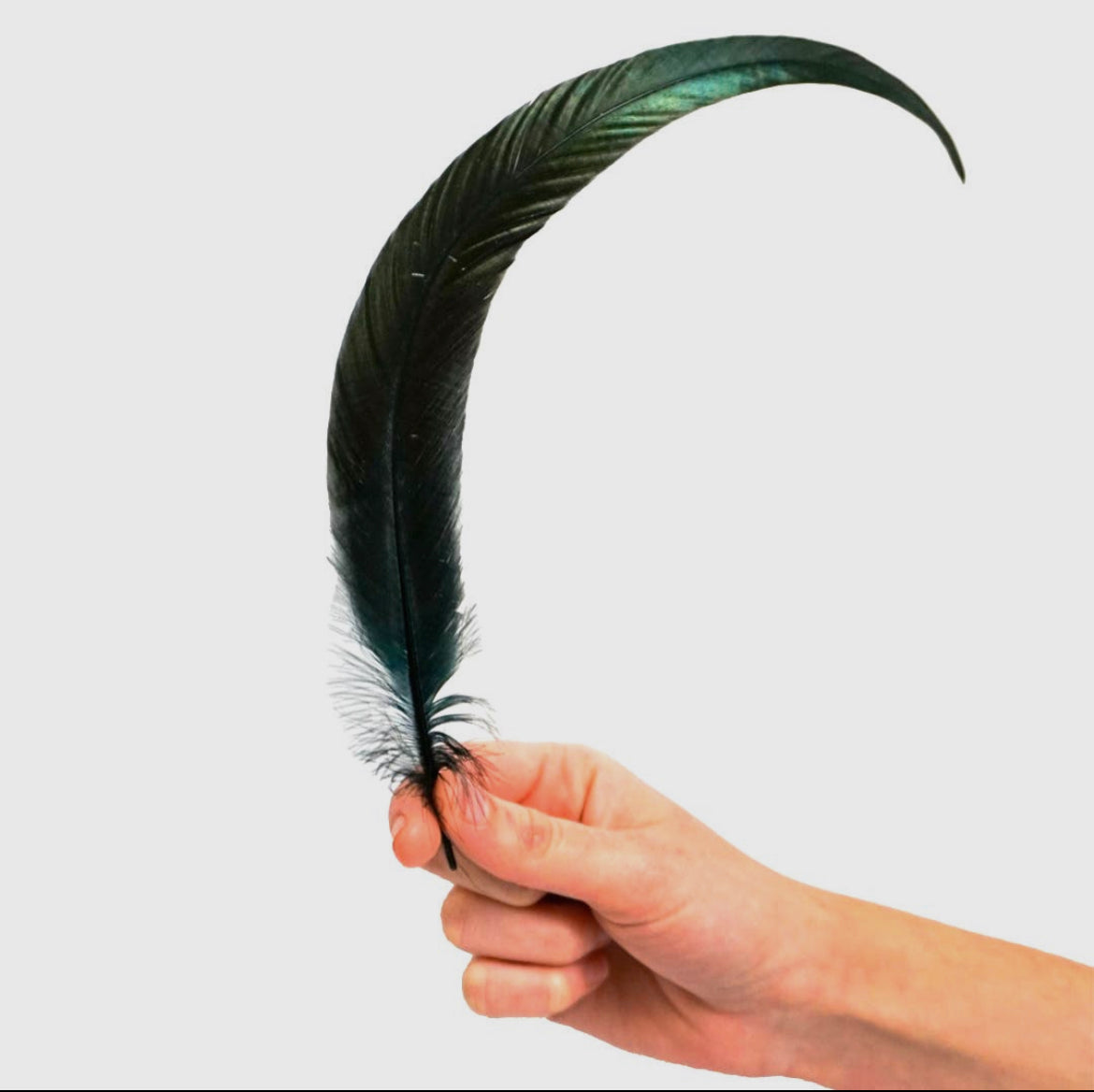 Black Cleansing Feather