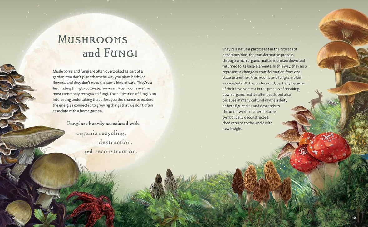 The Green Witch Illustrated: An Enchanting Immersion Into the Magic of Natural Witchcraft