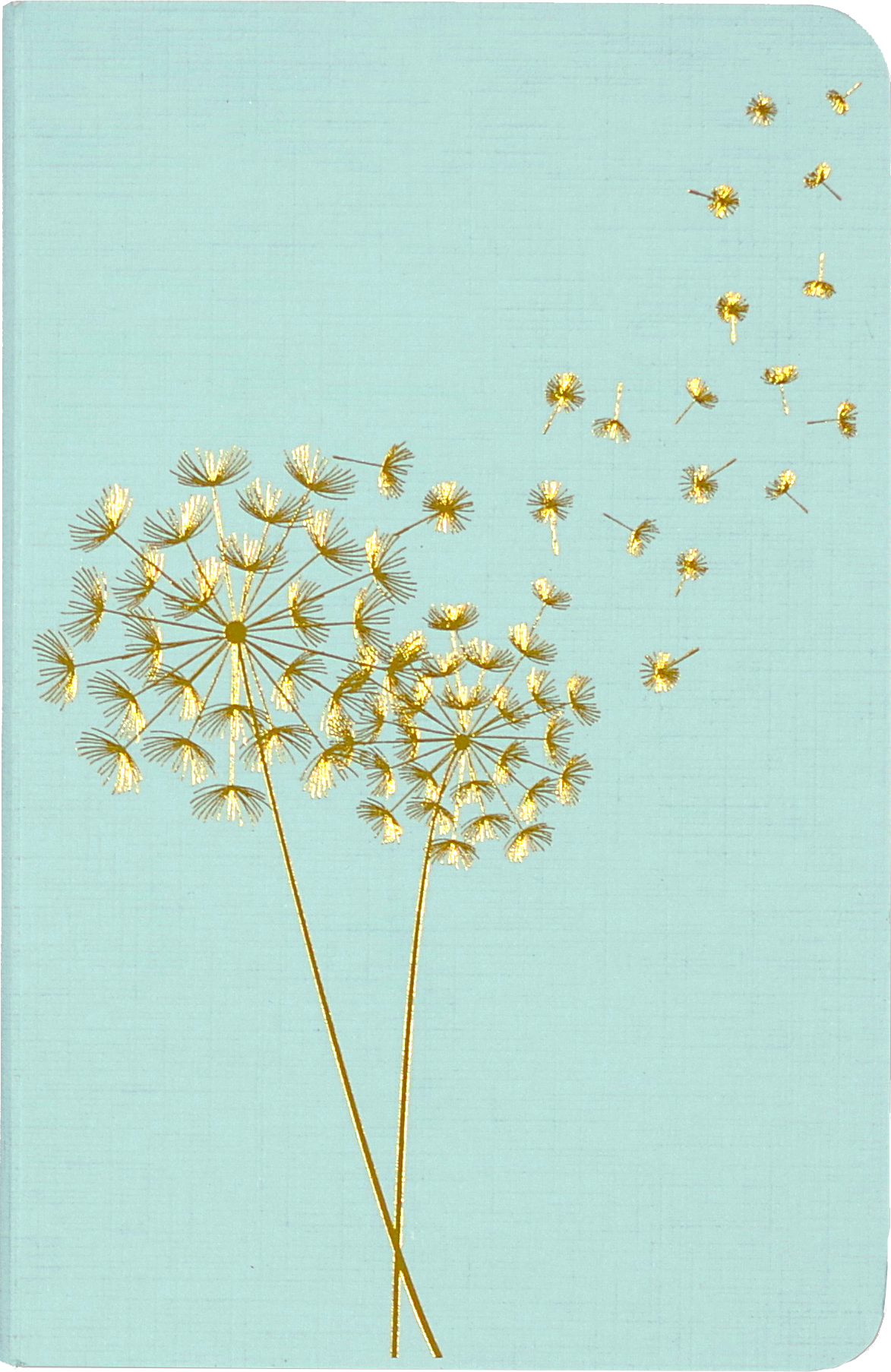 Jotter Mini Notebooks: Dandelion Wishes