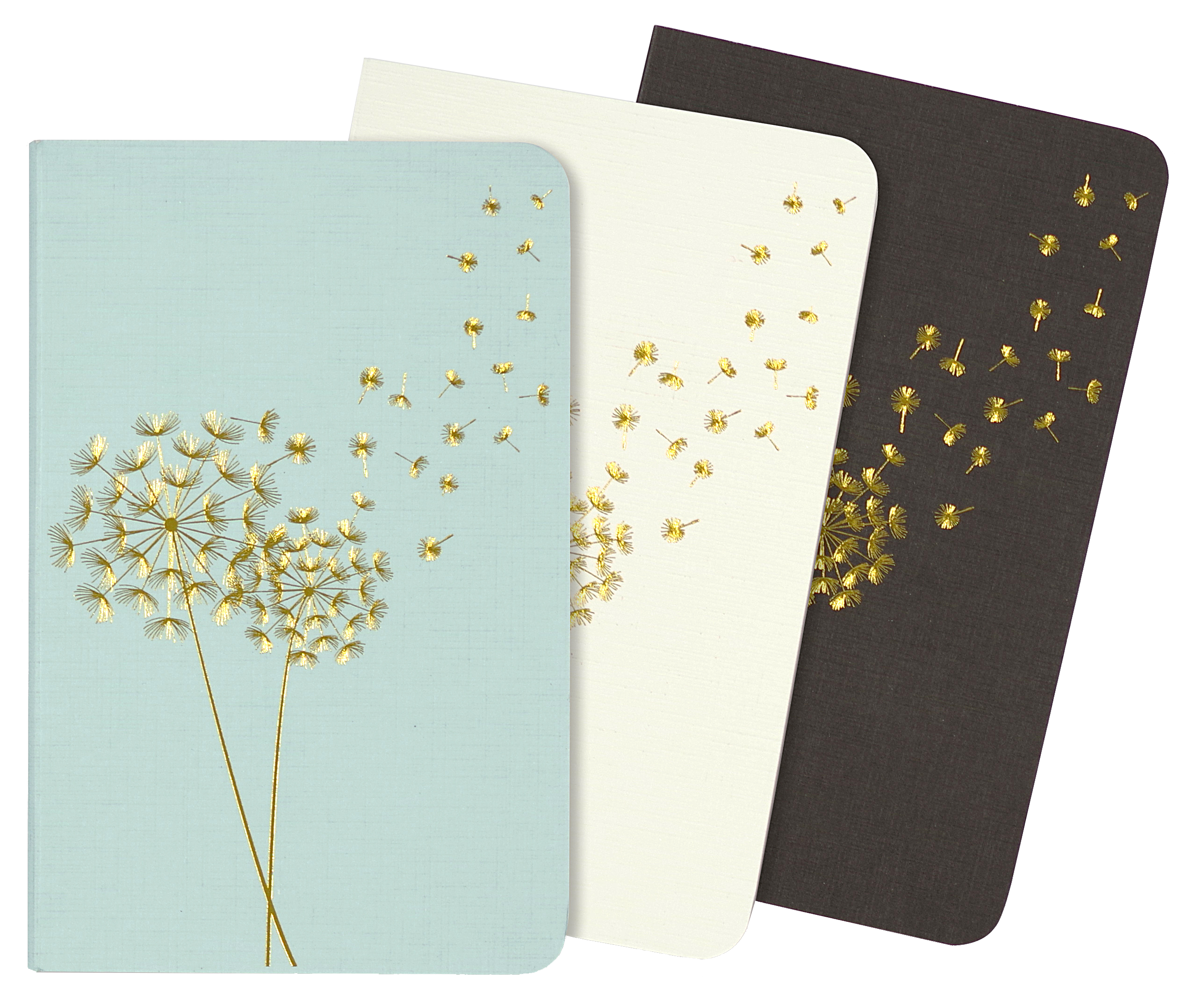 Jotter Mini Notebooks: Dandelion Wishes