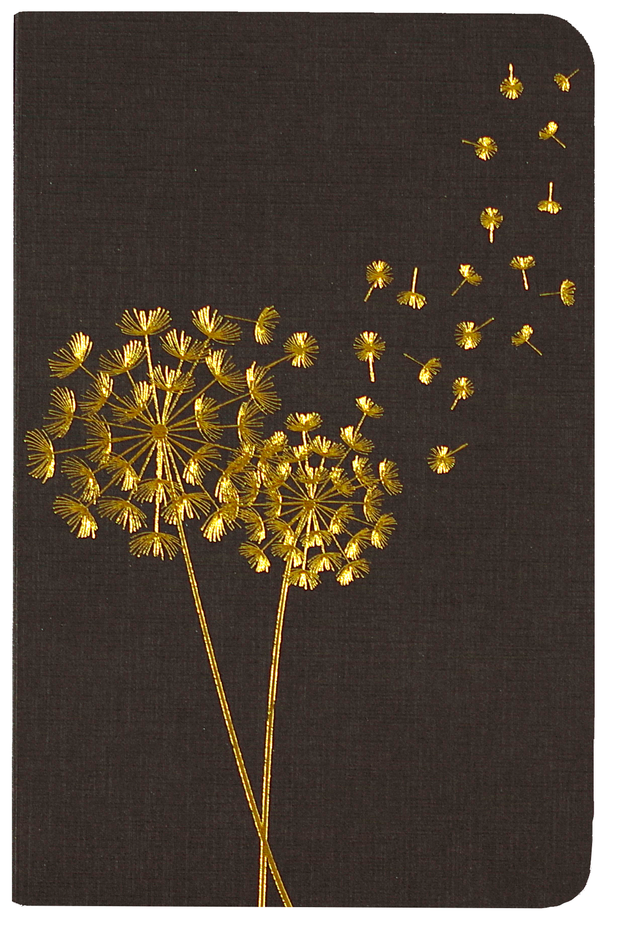 Jotter Mini Notebooks: Dandelion Wishes