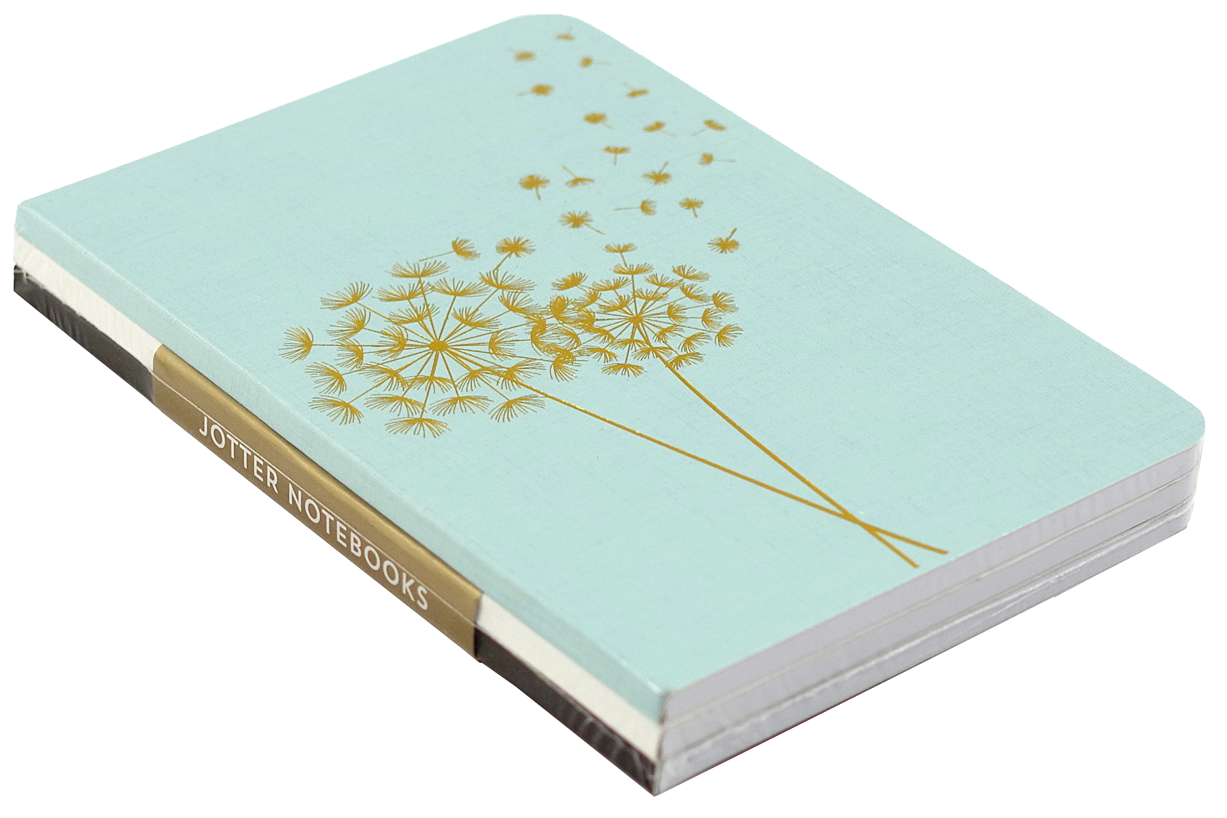 Jotter Mini Notebooks: Dandelion Wishes