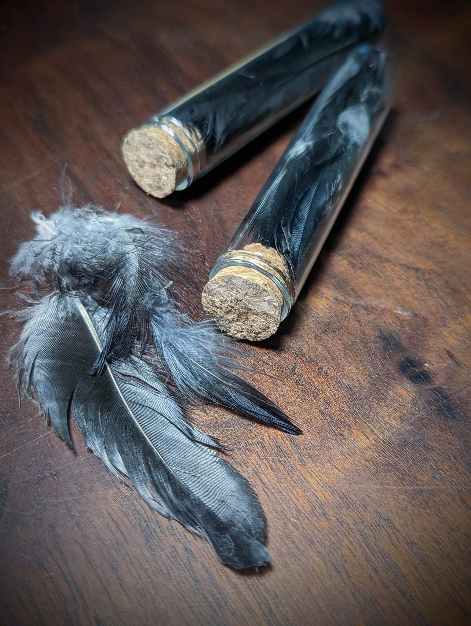 Crow Feather Curio